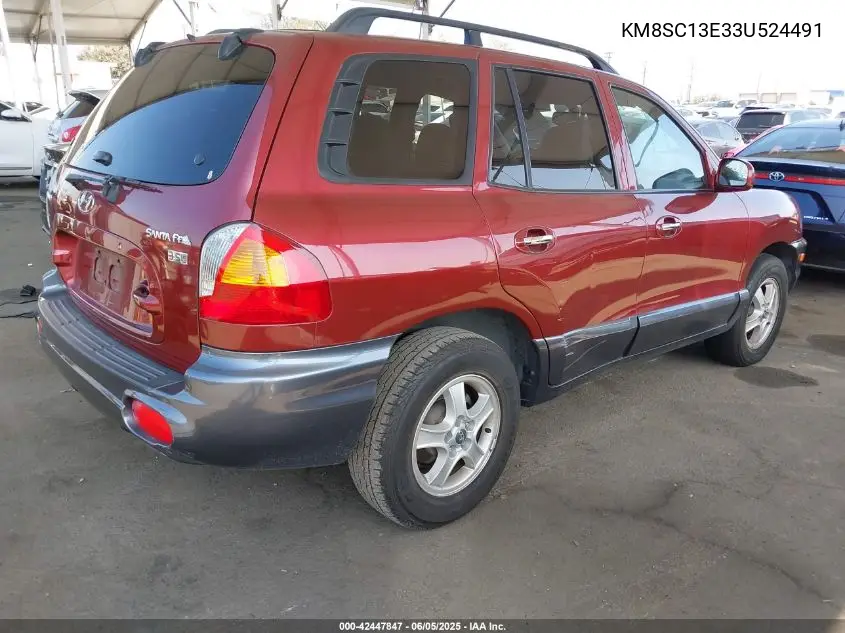 2003 Hyundai Santa Fe Gls/Lx VIN: KM8SC13E33U524491 Lot: 42447847