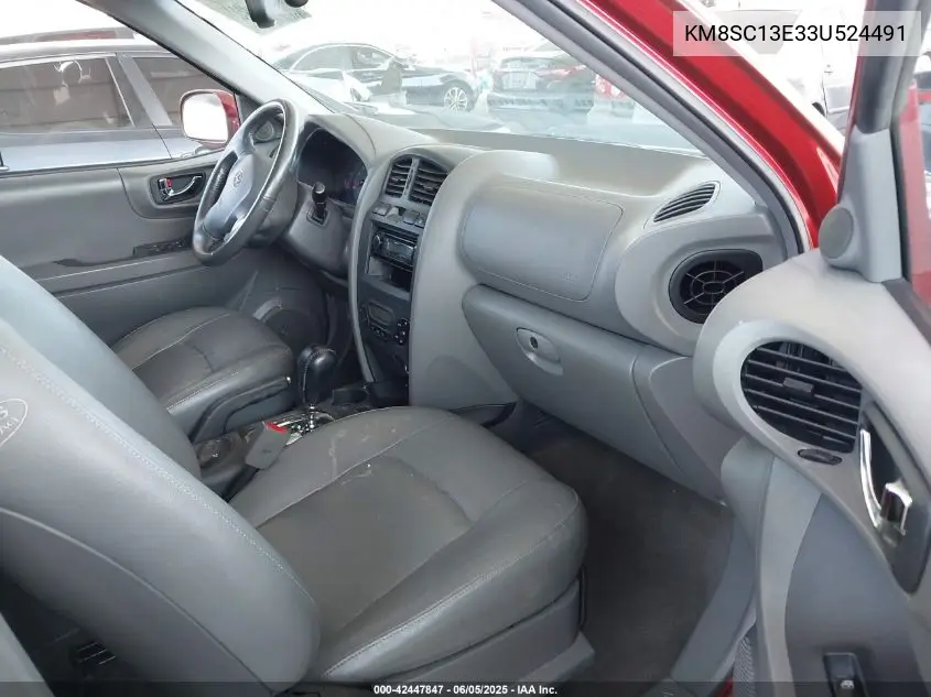 2003 Hyundai Santa Fe Gls/Lx VIN: KM8SC13E33U524491 Lot: 42447847