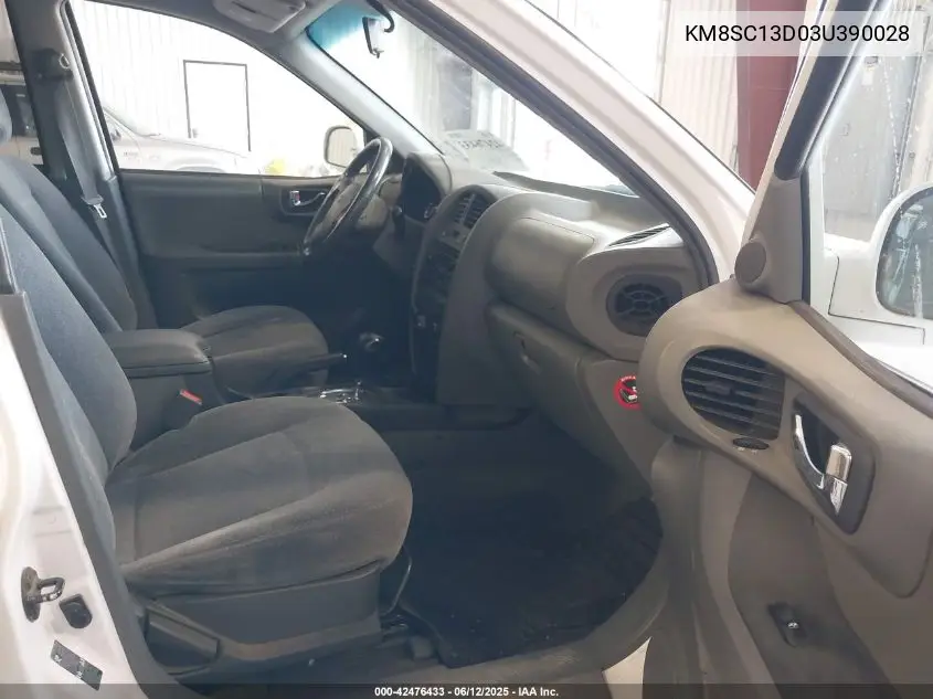 2003 Hyundai Santa Fe Gls/Lx VIN: KM8SC13D03U390028 Lot: 42476433