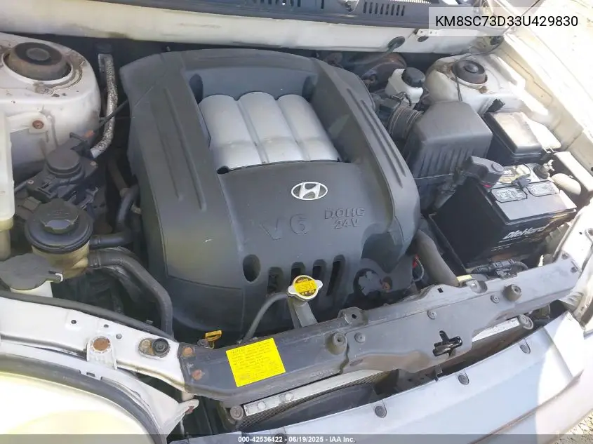2003 Hyundai Santa Fe Gls/Lx VIN: KM8SC73D33U429830 Lot: 42536422