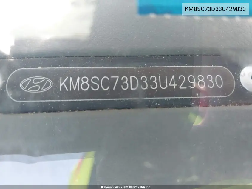 2003 Hyundai Santa Fe Gls/Lx VIN: KM8SC73D33U429830 Lot: 42536422