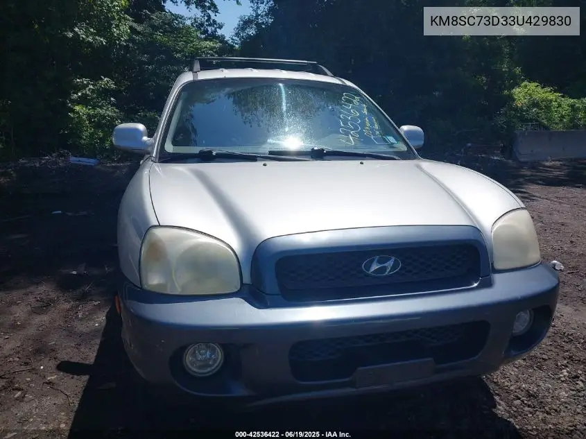 2003 Hyundai Santa Fe Gls/Lx VIN: KM8SC73D33U429830 Lot: 42536422