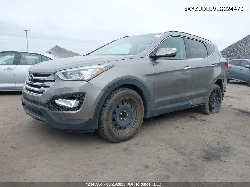 2014 Hyundai Santa Fe Sport 2.4 Luxury VIN: 5XYZUDLB9EG224479 Lot: 12345951