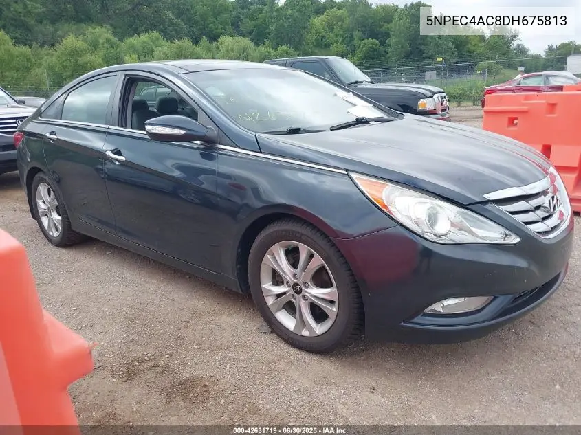 2013 Hyundai Sonata Limited VIN: 5NPEC4AC8DH675813 Lot: 42631719