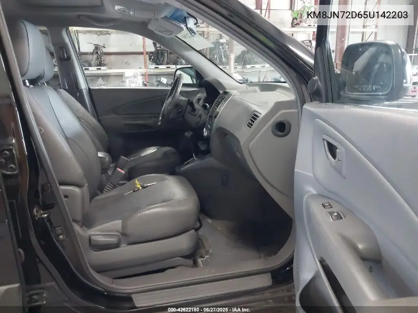 2005 Hyundai Tucson Gls/Lx VIN: KM8JN72D65U142203 Lot: 42622180