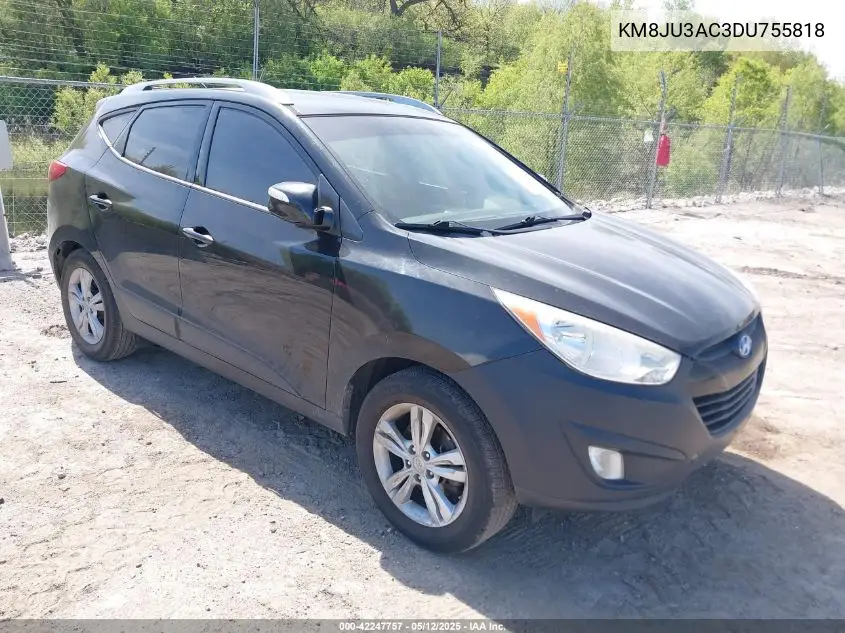 2013 Hyundai Tucson Gls VIN: KM8JU3AC3DU755818 Lot: 42247757