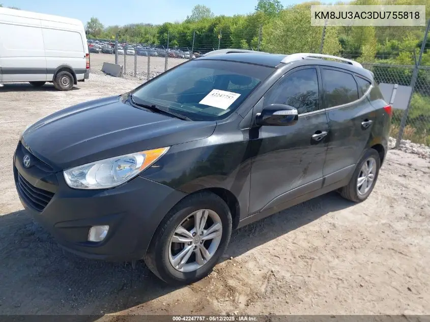 2013 Hyundai Tucson Gls VIN: KM8JU3AC3DU755818 Lot: 42247757