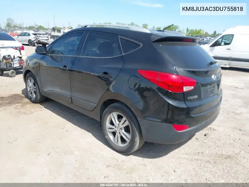 2013 Hyundai Tucson Gls VIN: KM8JU3AC3DU755818 Lot: 42247757