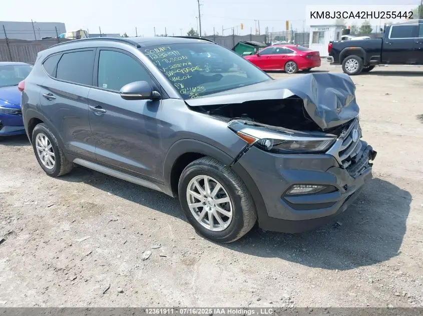 2017 Hyundai Tucson Se VIN: KM8J3CA42HU255442 Lot: 12361911