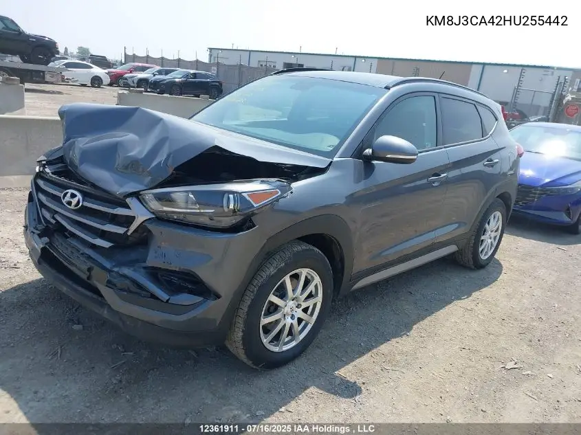 2017 Hyundai Tucson Se VIN: KM8J3CA42HU255442 Lot: 12361911