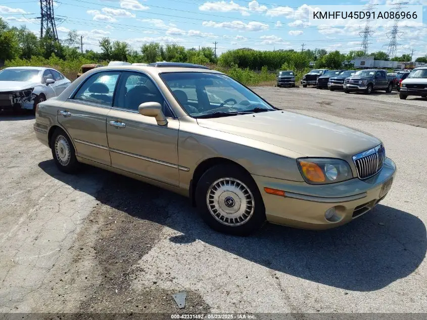 2001 Hyundai Xg300 VIN: KMHFU45091!086966 Lot: 42331492