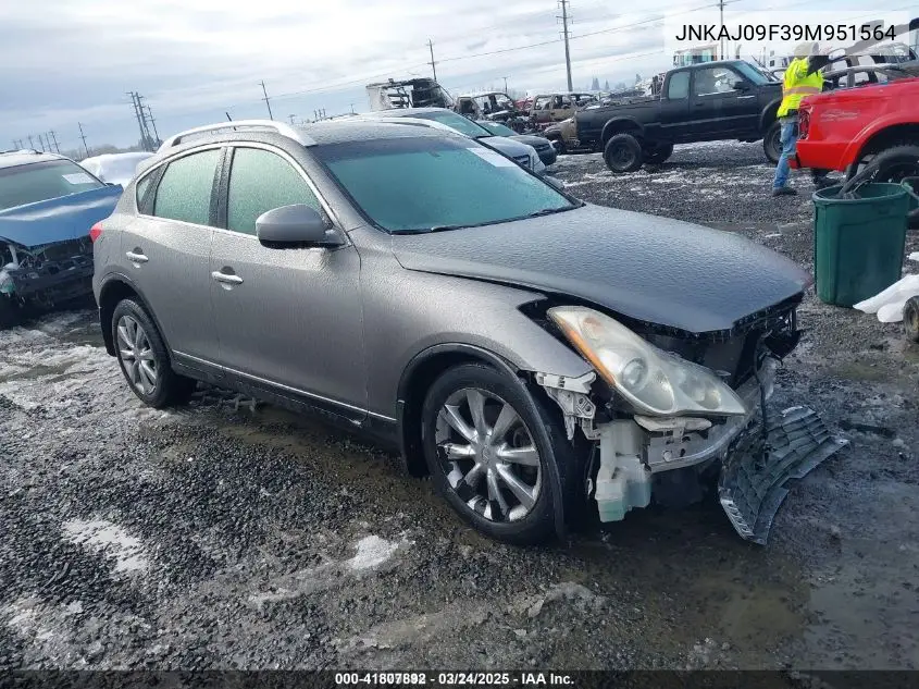 2009 Infiniti Ex35 Journey VIN: JNKAJ09F39M951564 Lot: 41807892