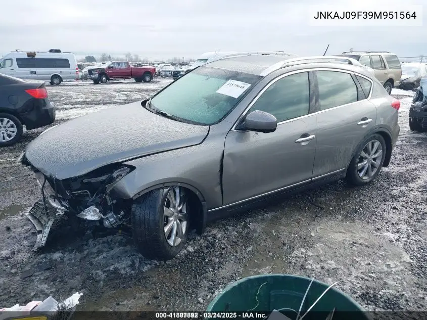 2009 Infiniti Ex35 Journey VIN: JNKAJ09F39M951564 Lot: 41807892
