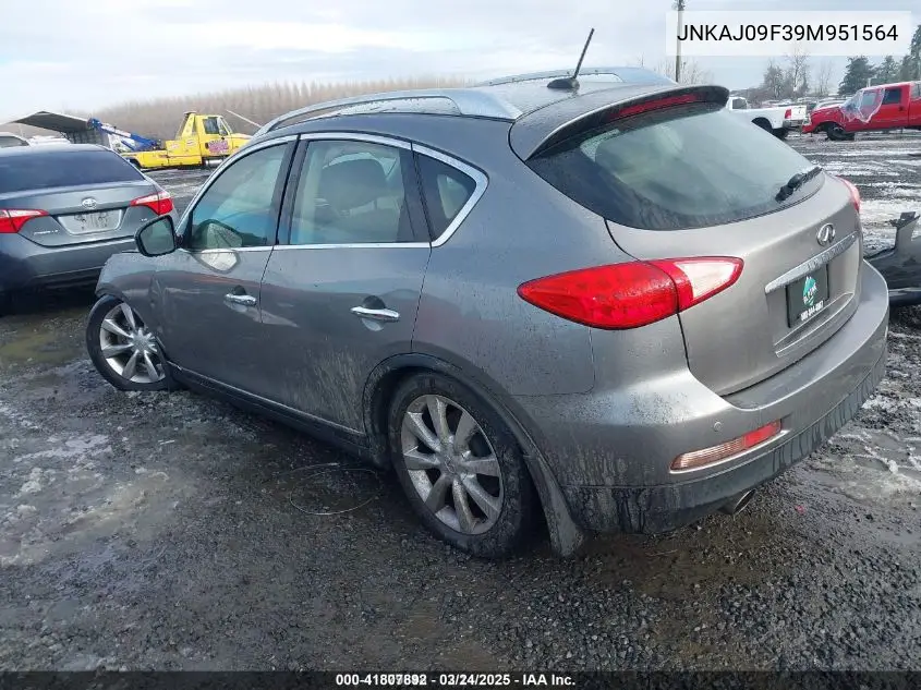 2009 Infiniti Ex35 Journey VIN: JNKAJ09F39M951564 Lot: 41807892
