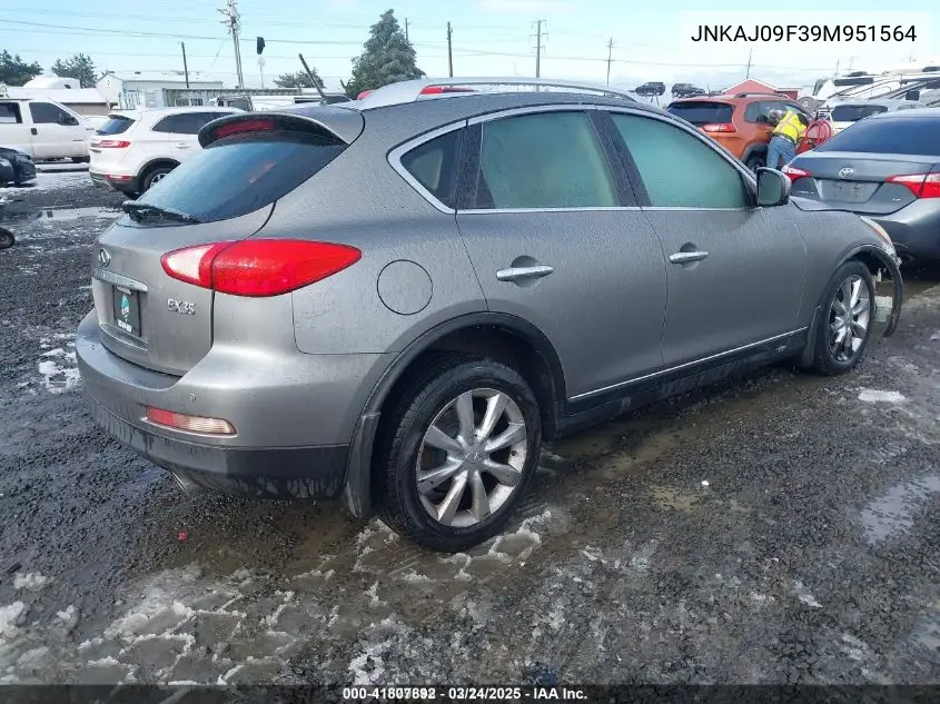 2009 Infiniti Ex35 Journey VIN: JNKAJ09F39M951564 Lot: 41807892