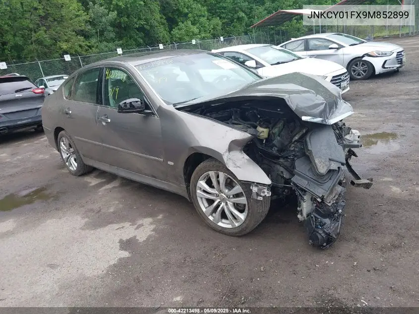 2009 Infiniti M35X VIN: JNKCY01FX9M852899 Lot: 42213498
