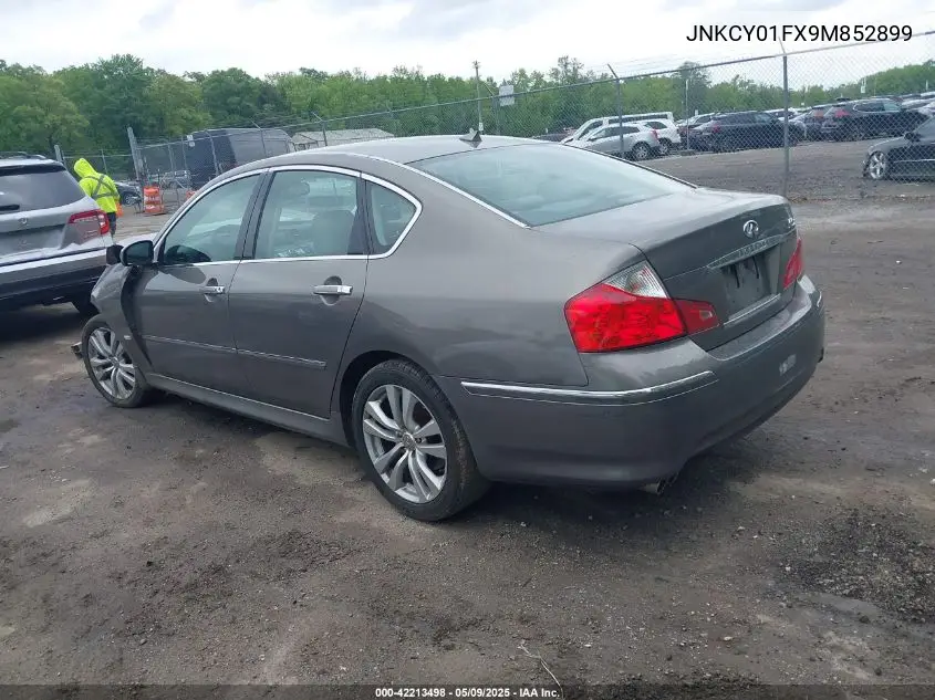 2009 Infiniti M35X VIN: JNKCY01FX9M852899 Lot: 42213498
