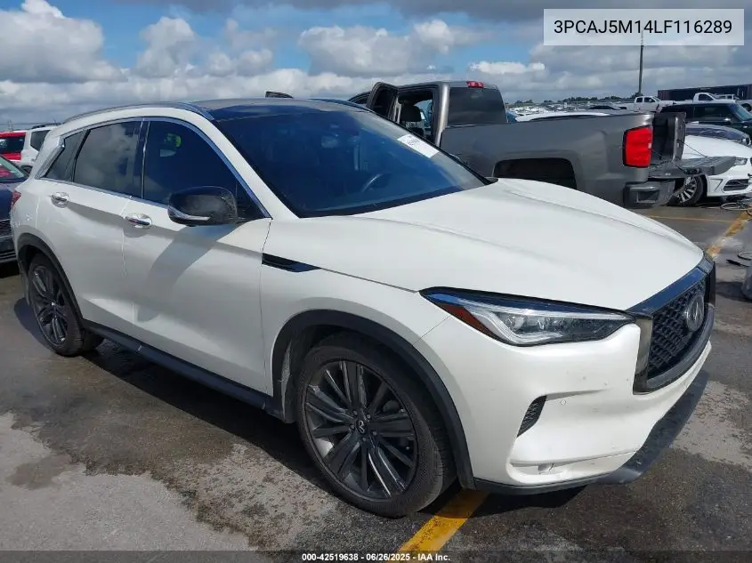 2020 Infiniti Qx50 Essential VIN: 3PCAJ5M14LF116289 Lot: 42519638