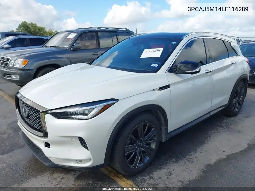 2020 Infiniti Qx50 Essential VIN: 3PCAJ5M14LF116289 Lot: 42519638