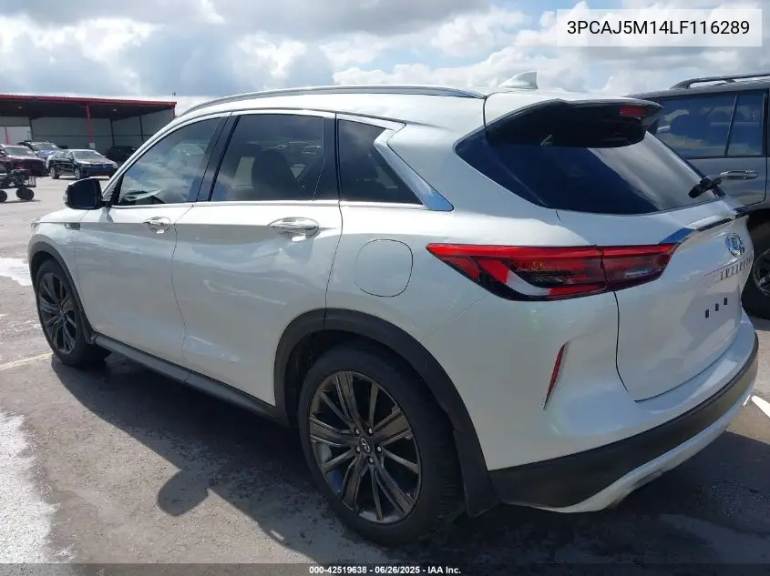2020 Infiniti Qx50 Essential VIN: 3PCAJ5M14LF116289 Lot: 42519638