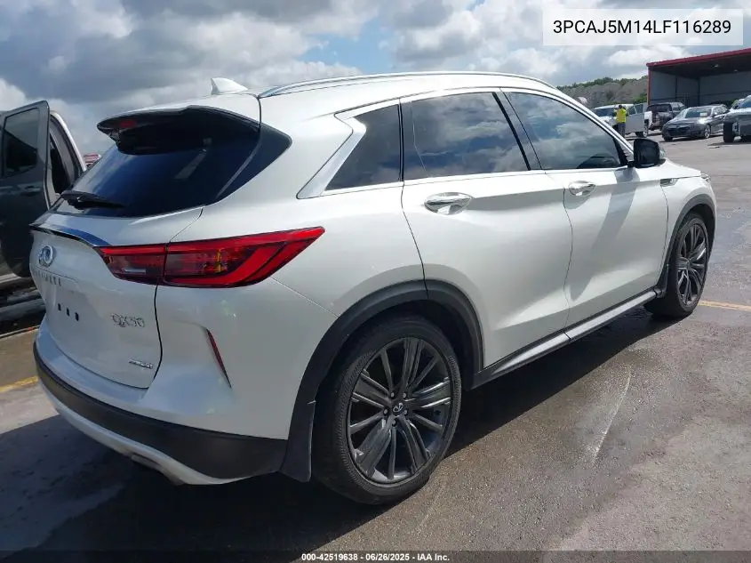 2020 Infiniti Qx50 Essential VIN: 3PCAJ5M14LF116289 Lot: 42519638