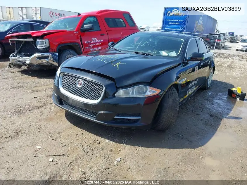 2011 Jaguar Xj VIN: SAJXA2GB2BLV03899 Lot: 12287443