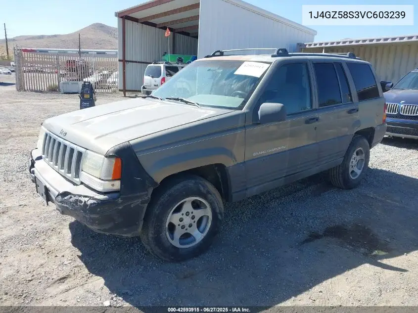 1997 Jeep Grand Cherokee Laredo/Tsi VIN: 1J4GZ58S3VC603239 Lot: 42593915