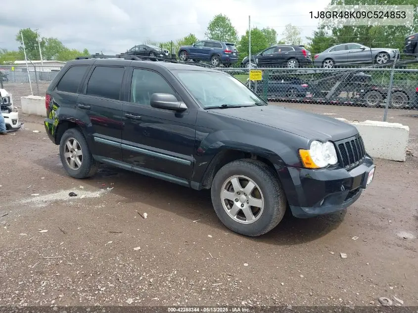2009 Jeep Grand Cherokee Laredo VIN: 1J8GR48K09C524853 Lot: 42258344