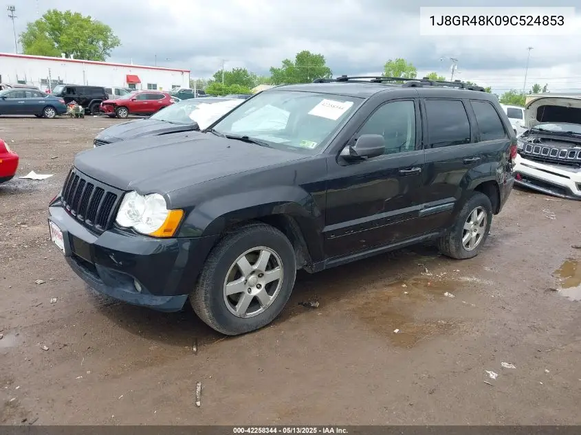 2009 Jeep Grand Cherokee Laredo VIN: 1J8GR48K09C524853 Lot: 42258344