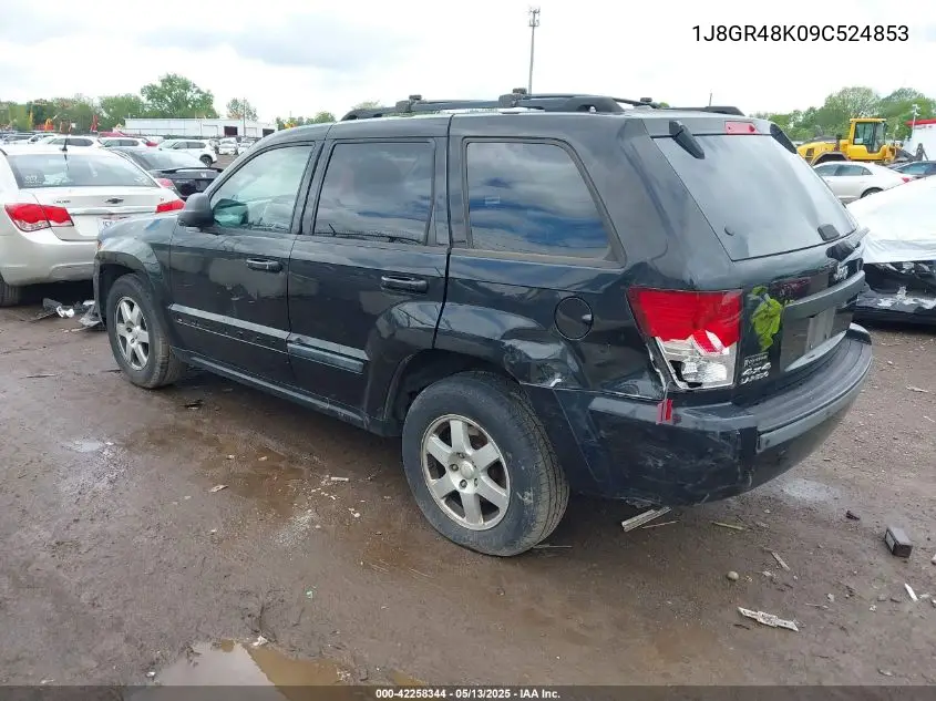 2009 Jeep Grand Cherokee Laredo VIN: 1J8GR48K09C524853 Lot: 42258344