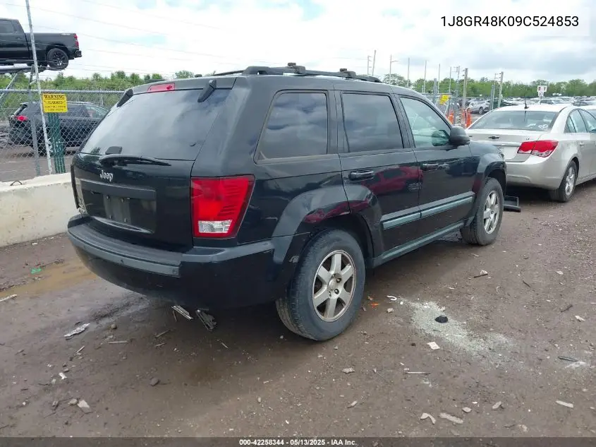 2009 Jeep Grand Cherokee Laredo VIN: 1J8GR48K09C524853 Lot: 42258344