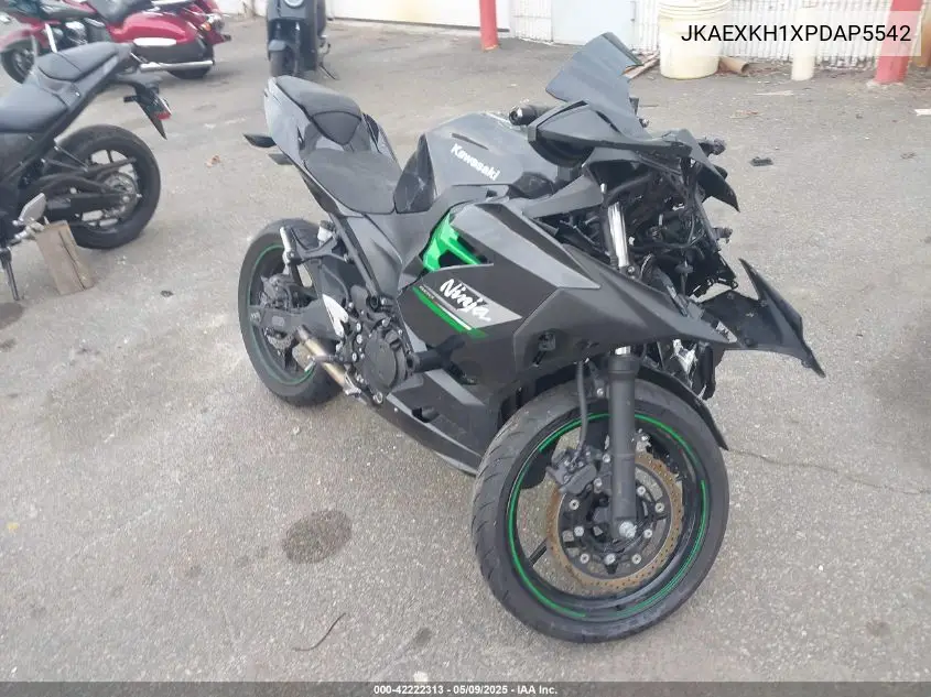 2023 Kawasaki Ex400 VIN: JKAEXKH1XPDAP5542 Lot: 42222313