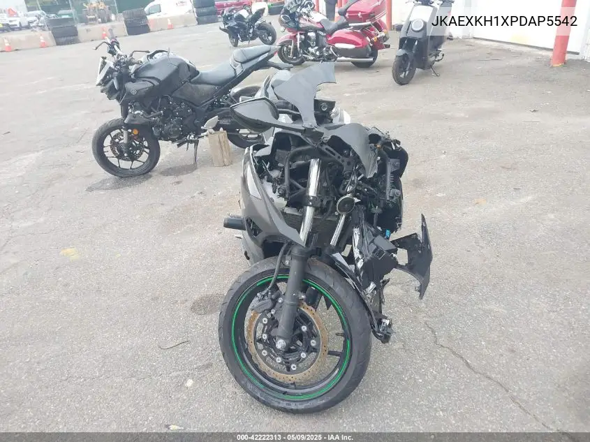 2023 Kawasaki Ex400 VIN: JKAEXKH1XPDAP5542 Lot: 42222313