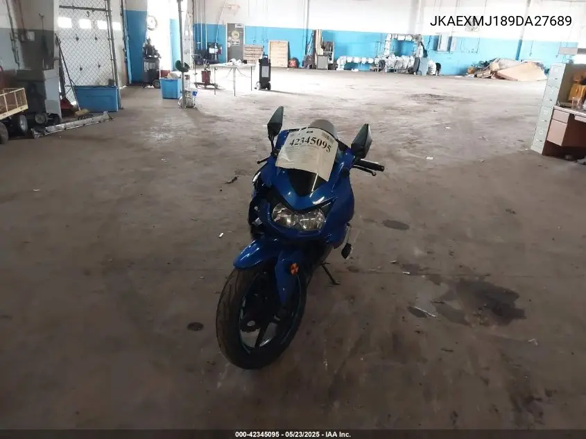 2009 Kawasaki Ex250 J VIN: JKAEXMJ189DA27689 Lot: 42345095