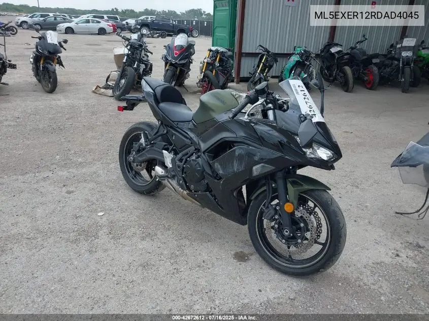 2024 Kawasaki Ex650 R VIN: ML5EXER12RDAD4045 Lot: 42672612