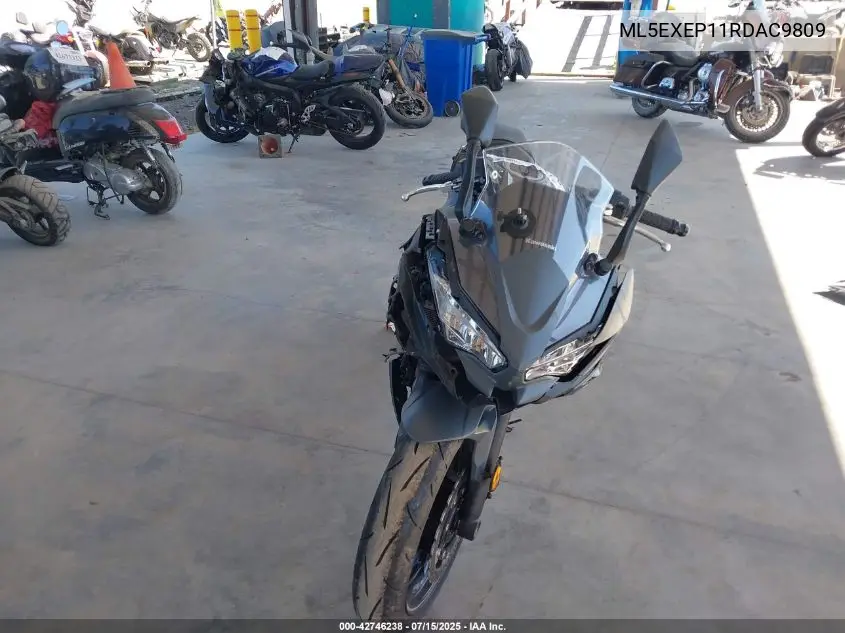2024 Kawasaki Ex650 P VIN: ML5EXEP11RDAC9809 Lot: 42746238