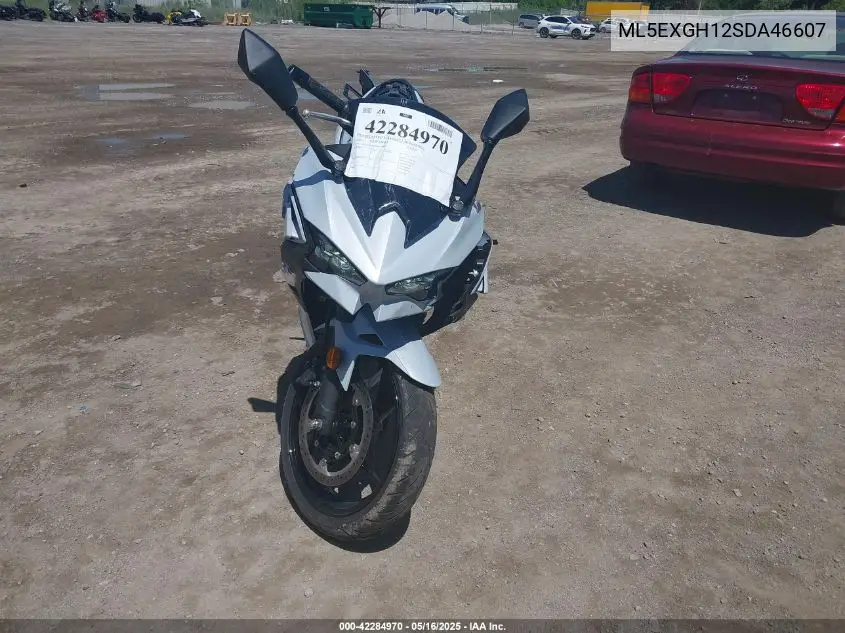 2025 Kawasaki Ex500 H VIN: ML5EXGH12SDA46607 Lot: 42284970