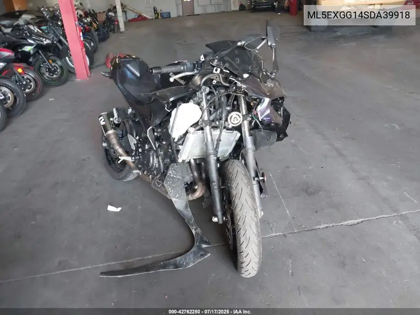 2025 Kawasaki Ex500 VIN: ML5EXGG14SDA39918 Lot: 42762250