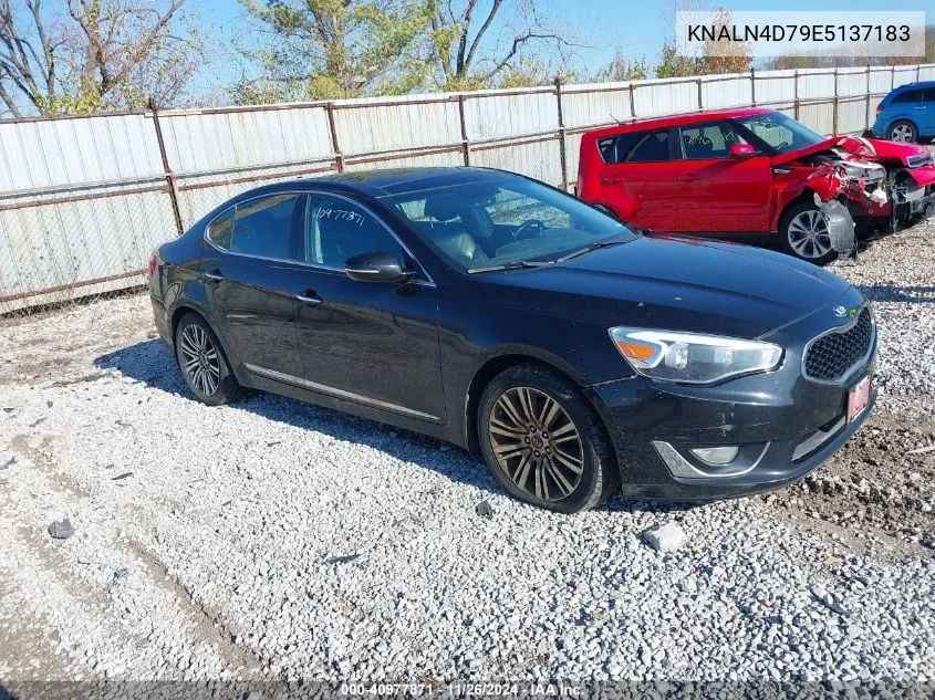 2014 Kia Cadenza Premium VIN: KNALN4D79E5137183 Lot: 40977871