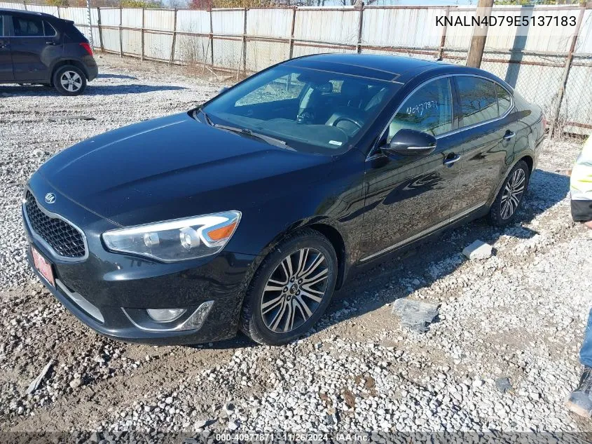 2014 Kia Cadenza Premium VIN: KNALN4D79E5137183 Lot: 40977871