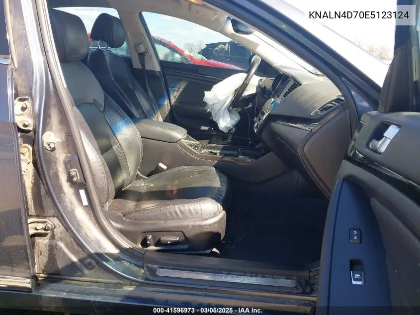 2014 Kia Cadenza Premium VIN: KNALN4D70E5123124 Lot: 41596973