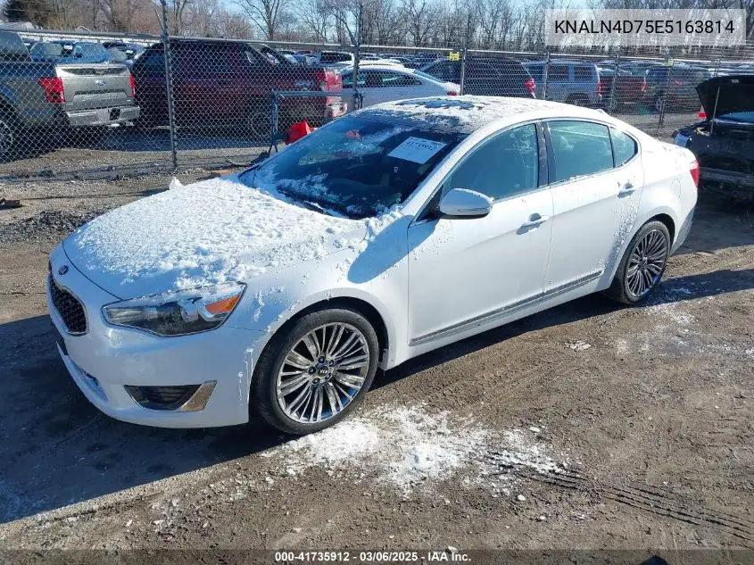 2014 Kia Cadenza Limited VIN: KNALN4D75E5163814 Lot: 41735912
