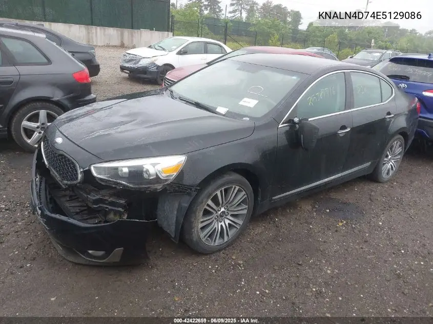 2014 Kia Cadenza Premium VIN: KNALN4D74E5129086 Lot: 42422659