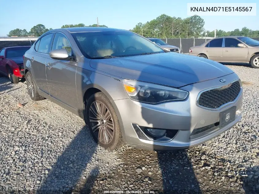 2014 Kia Cadenza Premium VIN: KNALN4D71E5145567 Lot: 42550909