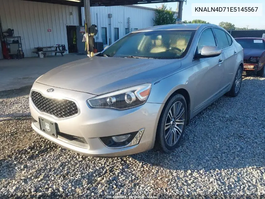 2014 Kia Cadenza Premium VIN: KNALN4D71E5145567 Lot: 42550909