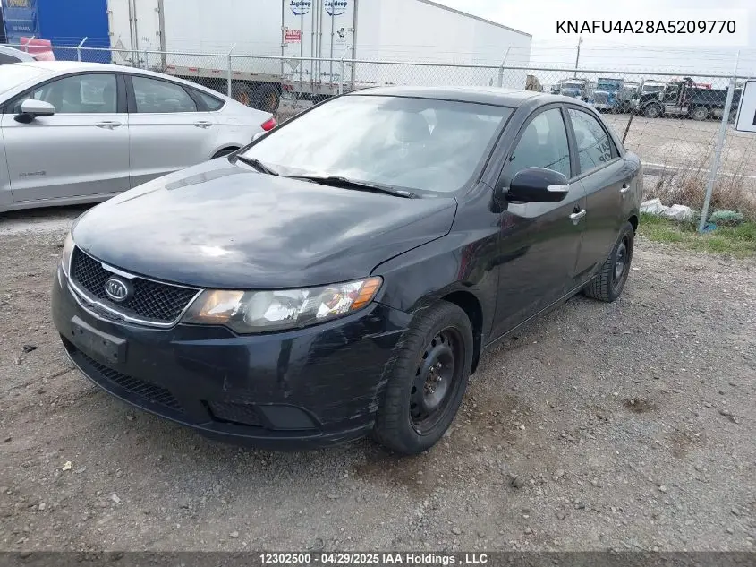 2010 Kia Forte Ex VIN: KNAFU4A28A5209770 Lot: 12302500
