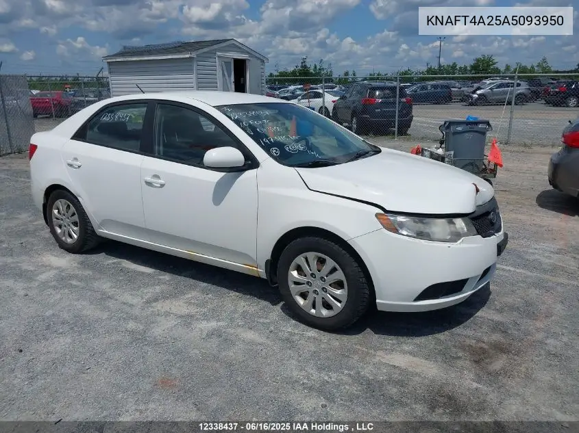 2010 Kia Forte 2.0L Lx VIN: KNAFT4A25A5093950 Lot: 12338437
