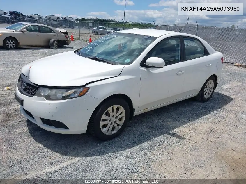 2010 Kia Forte 2.0L Lx VIN: KNAFT4A25A5093950 Lot: 12338437