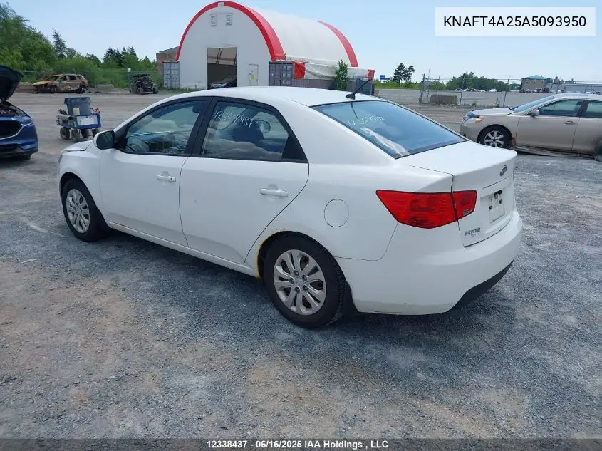 2010 Kia Forte 2.0L Lx VIN: KNAFT4A25A5093950 Lot: 12338437