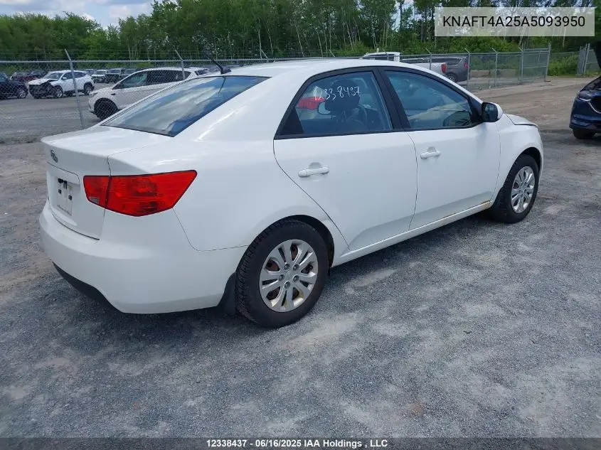 2010 Kia Forte 2.0L Lx VIN: KNAFT4A25A5093950 Lot: 12338437